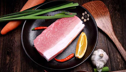 企業(yè)介紹