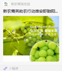 盱眙團(tuán)縣委 新農(nóng)菁英 助力優(yōu)質(zhì)農(nóng)產(chǎn)品銷(xiāo)售