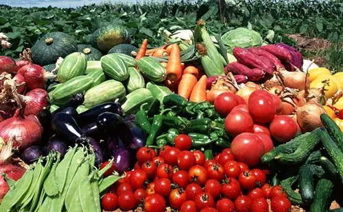 農(nóng)業(yè)農(nóng)村部 上半年我國(guó)農(nóng)產(chǎn)品市場(chǎng)供給總體充裕