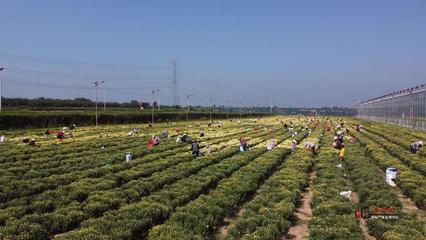 彬州:農(nóng)特產(chǎn)品多證賦能 打通產(chǎn)業(yè)振興“大動脈”