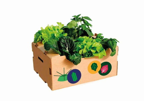 農(nóng)產(chǎn)品也需要做一個(gè)有產(chǎn)品品牌戰(zhàn)略思考的產(chǎn)品