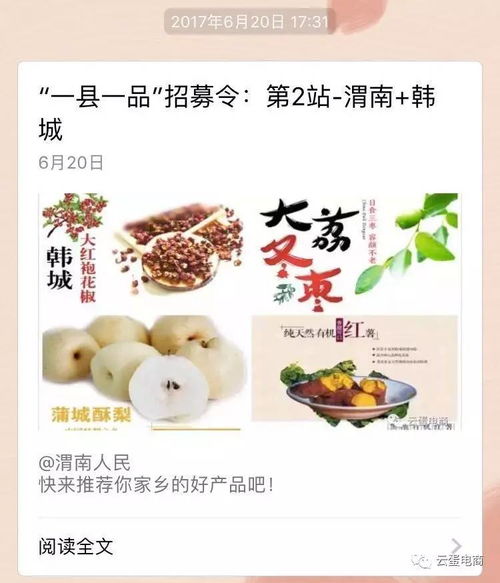 西北六省農(nóng)產(chǎn)品上行中心 揭牌, 一縣一品 項目持續(xù)推進