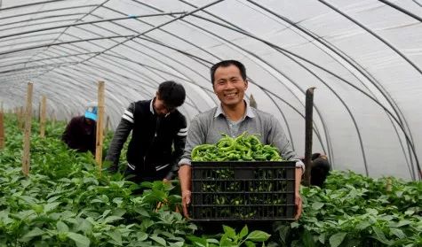 必看 2019年中央 一號文件 發(fā)布,這六大新變化 三個投資方向,將直接影響你的錢袋子