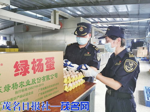 海關(guān)助力茂名鮮雞蛋首次出口，網(wǎng)上銷(xiāo)售初級(jí)農(nóng)產(chǎn)品邁新步