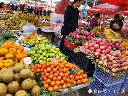 保山市隆陽區(qū)2019年12月中旬農(nóng)產(chǎn)品市場價格穩(wěn)定，網(wǎng)絡(luò)銷售助力初級農(nóng)產(chǎn)品流通